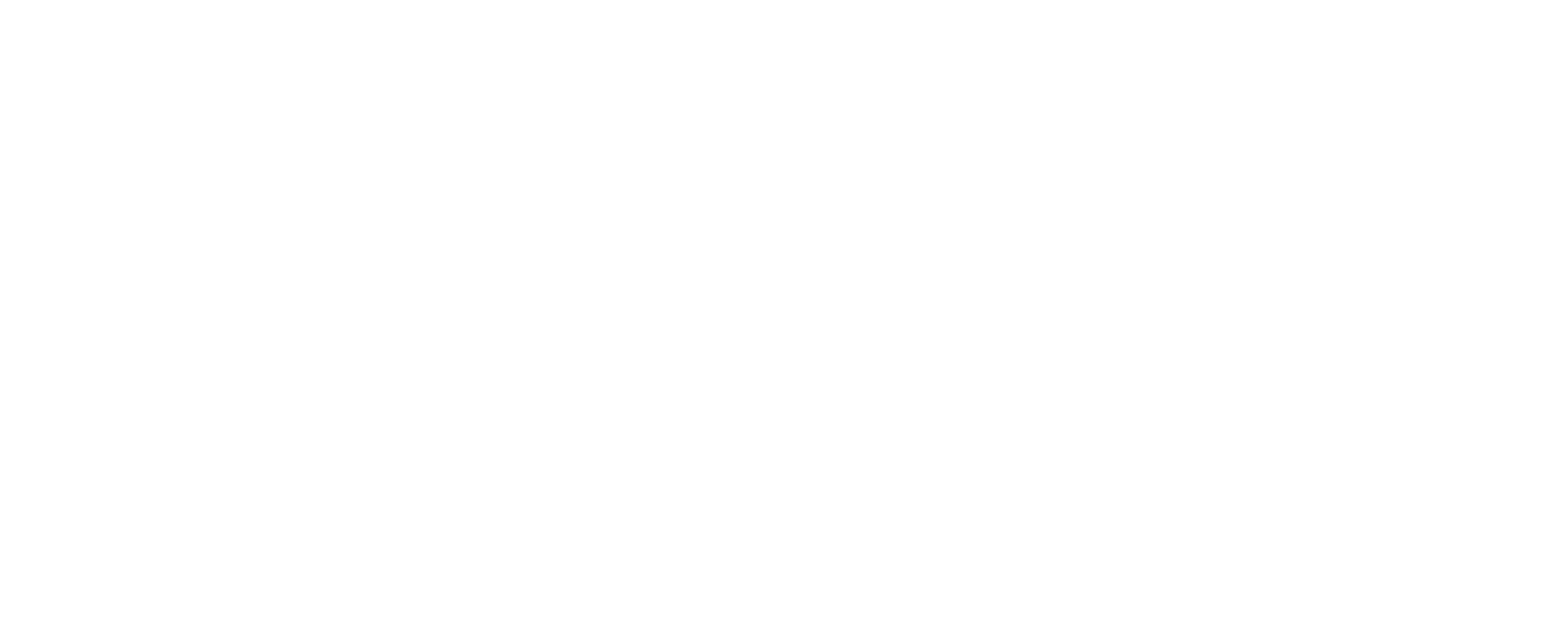 Duże logo na środku strony Sołtys Kancelaria prawna